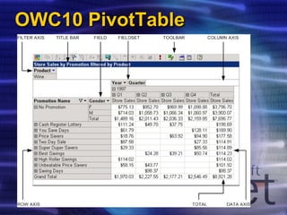 OWC10 PivotTable 