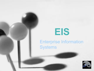 EIS
Enterprise Information
Systems
 
