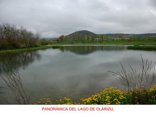 PANORÁMICA DEL LAGO DE OLÁRIZU.
 