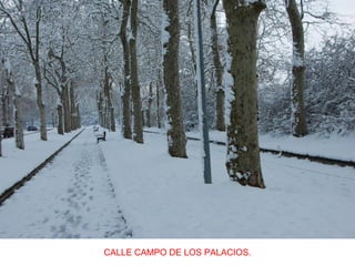CALLE CAMPO DE LOS PALACIOS.
 