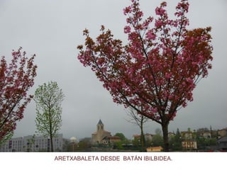 ARETXABALETA DESDE BATÁN IBILBIDEA.
 