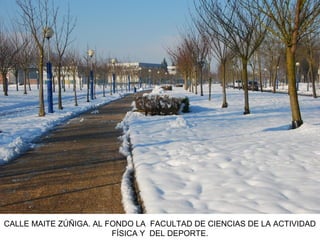 CALLE MAITE ZÚÑIGA. AL FONDO LA FACULTAD DE CIENCIAS DE LA ACTIVIDAD
FÍSICA Y DEL DEPORTE.
 
