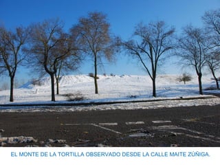 EL MONTE DE LA TORTILLA OBSERVADO DESDE LA CALLE MAITE ZÚÑIGA.
 
