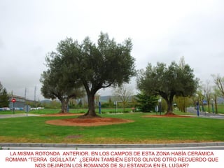 LA MISMA ROTONDA ANTERIOR. EN LOS CAMPOS DE ESTA ZONA HABÍA CERÁMICA
ROMANA “TERRA SIGILLATA” ¿SERÁN TAMBIÉN ESTOS OLIVOS OTRO RECUERDO QUE
NOS DEJARON LOS ROMANOS DE SU ESTANCIA EN EL LUGAR?
 