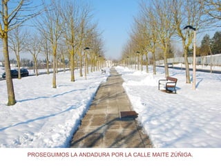 PROSEGUIMOS LA ANDADURA POR LA CALLE MAITE ZÚÑIGA.
 