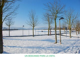 UN DESCANSO PARA LA VISTA.
 