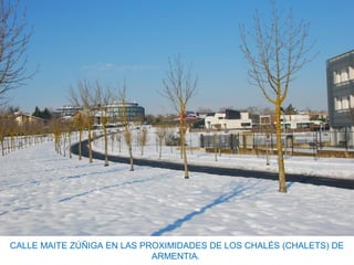 CALLE MAITE ZÚÑIGA EN LAS PROXIMIDADES DE LOS CHALÉS (CHALETS) DE
ARMENTIA.
 