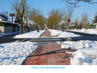 PASEO DE SAN PRUDENCIO.
 