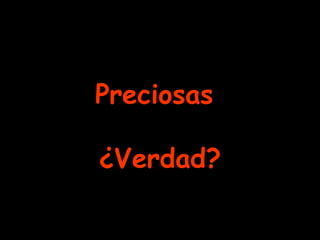Preciosas
¿Verdad?