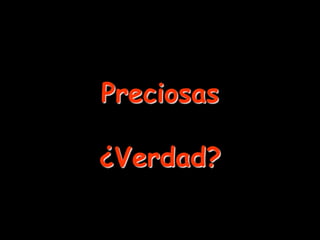 Preciosas

¿Verdad?
 