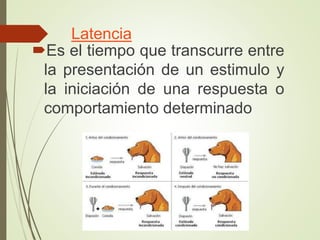Latencia
Es el tiempo que transcurre entre
la presentación de un estimulo y
la iniciación de una respuesta o
comportamiento determinado
 