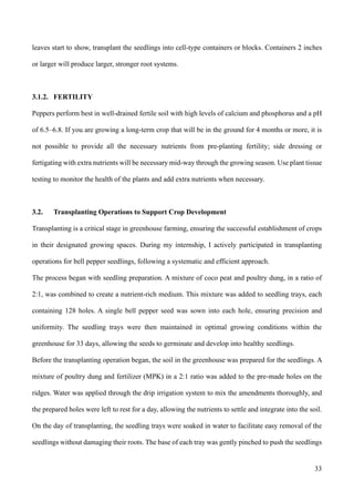 PROCEDURE FOR THE PRODUCTION OF BELL PEPPER IN A GREENHOUSE | PDF