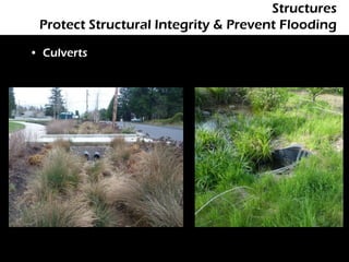 Structures
 Protect Structural Integrity & Prevent Flooding

• Culverts
 