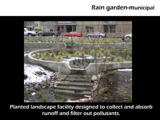 Rain garden-municipal




       Photo: EMSWCD



Planted landscape facility designed to collect and absorb
            runoff and filter out pollutants.
 