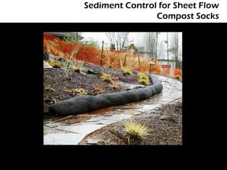 Sediment Control for Sheet Flow
                Compost Socks
 