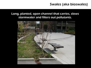 Swales (aka bioswales)

Long, planted, open channel that carries, slows
    stormwater and filters out pollutants.
 