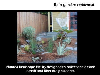 Rain garden-residential




       Photo: EMSWCD



Planted landscape facility designed to collect and absorb
            runoff and filter out pollutants.
 