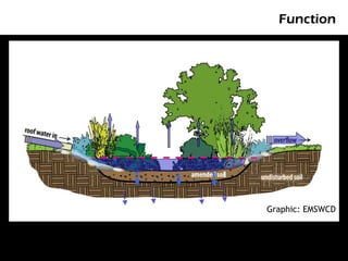 Function




Graphic: EMSWCD
 