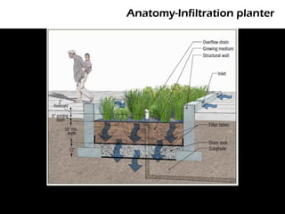 Anatomy-Infiltration planter
 