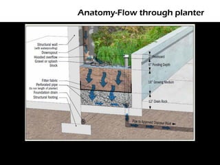 Anatomy-Flow through planter
 