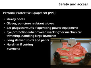 Safety and access

Personal Protective Equipment (PPE)

• Sturdy boots
• Gloves, puncture resistant gloves
• Ear plugs/earmuffs if operating power equipment
• Eye protection when “weed wacking” or mechanical
  trimming, handling large branches
• Long sleeved shirts and pants
• Hard hat if cutting
  overhead



                                                      35
 