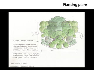 Planting plans
 