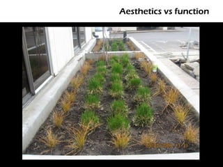Aesthetics vs function
 