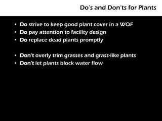 Do’s and Don’ts for Plants

• Do strive to keep good plant cover in a WQF
• Do pay attention to facility design
• Do replace dead plants promptly

• Don’t overly trim grasses and grass-like plants
• Don’t let plants block water flow
 