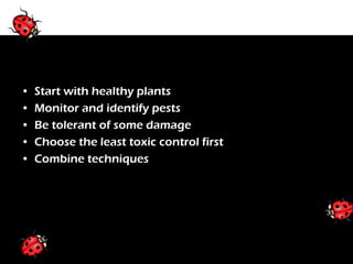 Principles of IPM

•   Start with healthy plants
•   Monitor and identify pests
•   Be tolerant of some damage
•   Choose the least toxic control first
•   Combine techniques
 