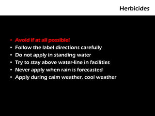 Herbicides




•   Avoid if at all possible!
•   Follow the label directions carefully
•   Do not apply in standing water
•   Try to stay above water-line in facilities
•   Never apply when rain is forecasted
•   Apply during calm weather, cool weather
 