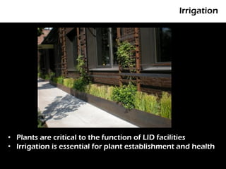 Irrigation



        P




• Plants are critical to the function of LID facilities
• Irrigation is essential for plant establishment and health
 