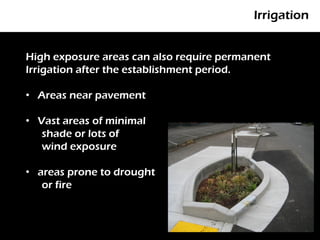 Irrigation


High exposure areas can also require permanent
Irrigation after the establishment period.
      P

• Areas near pavement

• Vast areas of minimal
   shade or lots of
   wind exposure

• areas prone to drought
   or fire
 
