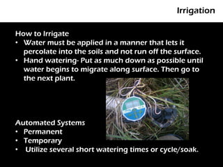 Irrigation

How to Irrigate
• Water must be applied in a manner that lets it
     P
  percolate into the soils and not run off the surface.
• Hand watering- Put as much down as possible until
  water begins to migrate along surface. Then go to
  the next plant.




Automated Systems
• Permanent
• Temporary
• Utilize several short watering times or cycle/soak.
 
