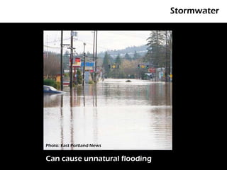Stormwater




Photo: East Portland News


Can cause unnatural flooding
 