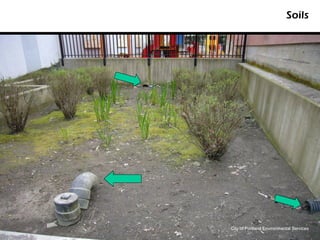 Soils




City of Portland Environmental Services
 