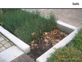 Soils




City of Portland Environmental Services
 