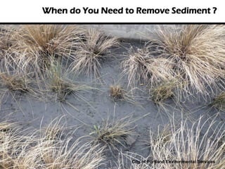 When do You Need to Remove Sediment ?




                   City of Portland Environmental Services
 
