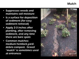 Mulch

• Suppresses weeds and
  maintains soil moisture
• Is a surface for deposition
  of sediment (for easy
  sediment removal)
• Apply 2-3 inches after
  planting, after removing
  sediment, and any time
  there are bare spots
• Common mulches:
  medium hemlock,yard-
  debris compost. Gravel
  “mulch” is sometimes used
  at entrances                   Maria Cahill
 