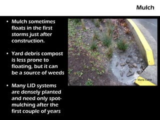Mulch

• Mulch sometimes
  floats in the first
  storms just after
  construction.

• Yard debris compost
  is less prone to
  floating, but it can
  be a source of weeds
                          Maria Cahill

• Many LID systems
  are densely planted
  and need only spot-
  mulching after the
  first couple of years
 