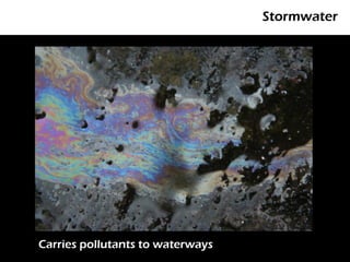 Stormwater




Carries pollutants to waterways
 