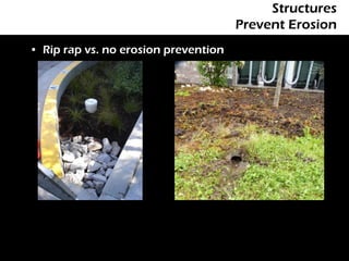 Structures
                                      Prevent Erosion
• Rip rap vs. no erosion prevention
 