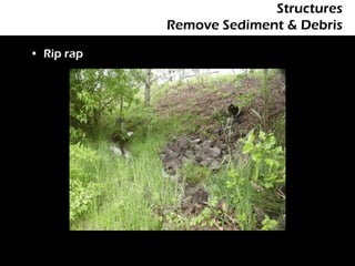 Structures
            Remove Sediment & Debris

• Rip rap
 