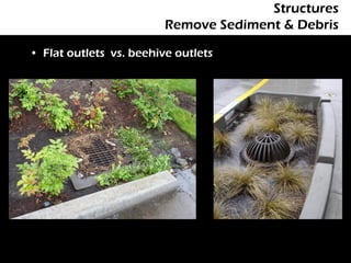 Structures
                         Remove Sediment & Debris

• Flat outlets vs. beehive outlets
 