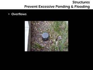 Structures
         Prevent Excessive Ponding & Flooding

• Overflows
 
