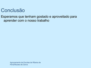 Conclusão
Esperamos que tenham gostado e aproveitado para
 aprender com o nosso trabalho




     Agrupamento de Escolas de Ribeira de
     Pena/Núcleo de Cerva
 