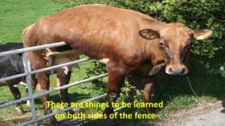 There are things to be learned
on both sides of the fence.
 