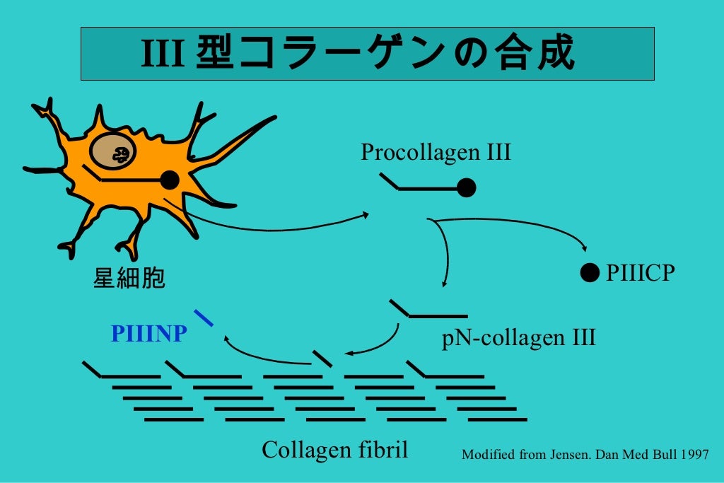 線維化を伴う肝疾患診療における検査の役割線維化を伴う肝疾患診療における検査の役割