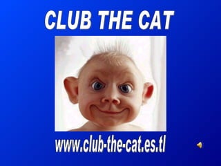 www.club-the-cat.es.tl CLUB THE CAT 