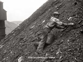 Coal recollection on a terril 