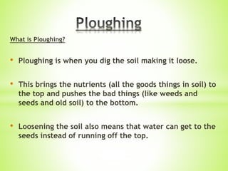 What is Ploughing?
• Ploughing is when you dig the soil making it loose.
• This brings the nutrients (all the goods things in soil) to
the top and pushes the bad things (like weeds and
seeds and old soil) to the bottom.
• Loosening the soil also means that water can get to the
seeds instead of running off the top.
 
